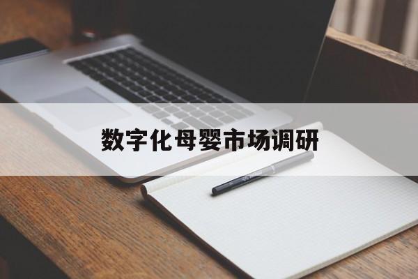 包头市数字化母婴市场调研(数字化母婴市场调研报告)